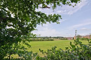 Photo 15- click for photo gallery